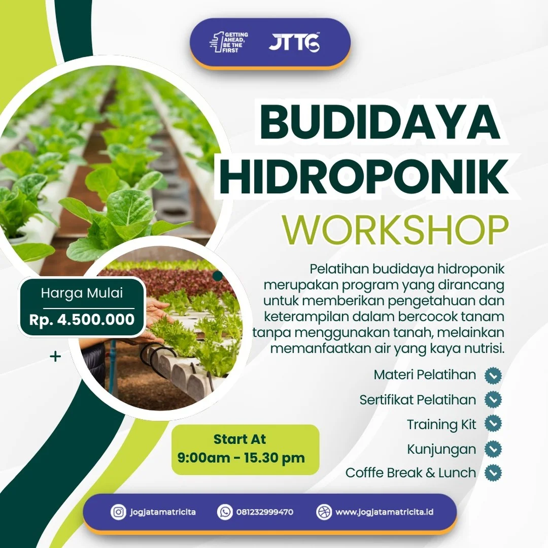 Pelatihan Budidaya Hidroponik